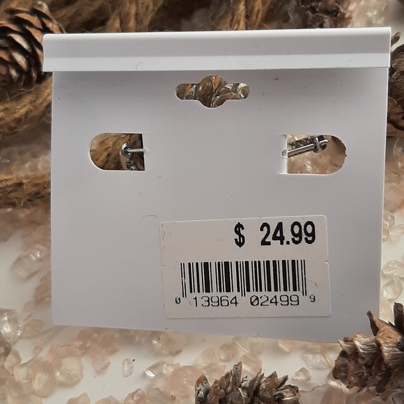 Cherish Jewelry Earrings Silver Tone. - Picture 2 of 4